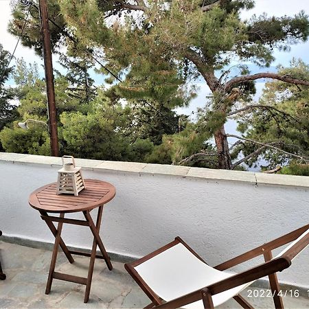 Pine Trees&Sea View Houses in Hydra - Daphne, Chloe, Myrto Zimmer foto
