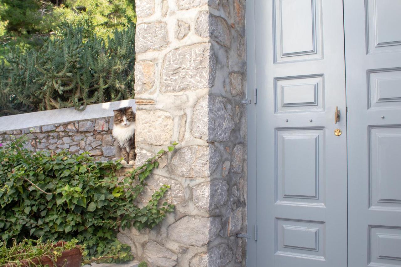 Pine Trees&Sea View Houses in Hydra - Daphne, Chloe, Myrto Exterior foto