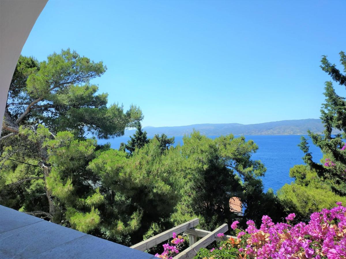 Pine Trees&Sea View Houses in Hydra - Daphne, Chloe, Myrto Exterior foto